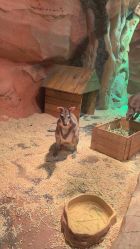 -Zoolung Zoolung动物主题公园(海信广场店)