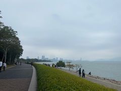 -深圳湾公园(南山区)