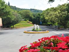 -广州市白云山风景名胜区