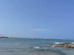 -日照海滨国家森林公园