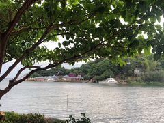 -大理洱海