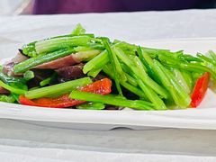 -云中小雅