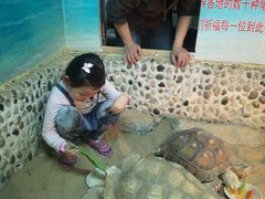 -上海大自然野生昆虫馆(东方明珠·爬宠昆虫探索中心)