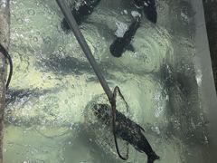 -姥家大锅台水库渔家