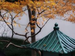 -秋霞圃