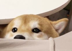 点击看大图 -Oasis Beauty水磨坊科技美肤中心