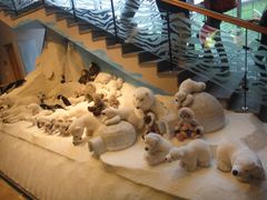 -济州岛泰迪熊博物馆