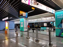 -大龙山(地铁站)