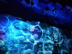 -郑州方特梦幻王国