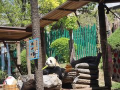 -大连森林动物园