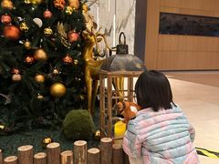 -广州奥园喜来登酒店