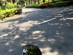 -孔雀湖生态旅游区