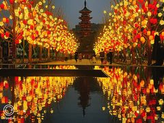 -龙华寺