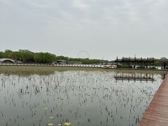 -石家庄市植物园
