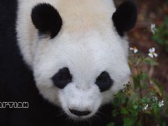 -泉州海丝野生动物世界