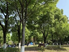 -重庆彩云湖湿地公园