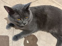 -扬州东关街文昌阁桔子水晶酒店