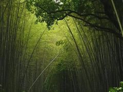 -同里国家湿地公园
