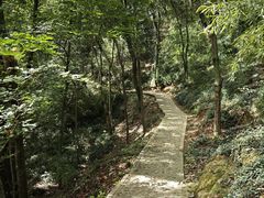 -上海佘山国家森林公园天马山园