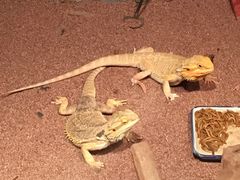 -多彩贵州城极地海洋世界