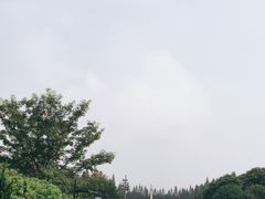 -十九路军淞沪抗日阵亡将士陵园