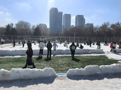-沈阳奥体冰雪嘉年华