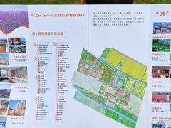 -海上花岛玫瑰园采摘