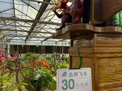 -南宫五洲植物乐园