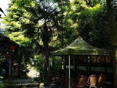 -水岸庭院·乡村柴火鸡