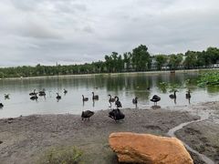 -长春市南湖公园