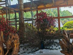 -石家庄市动物园