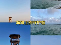 -日照海滨国家森林公园