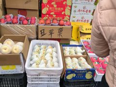 -双福水果批发市场