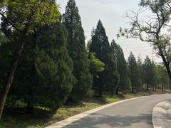 -白水寺森林公园