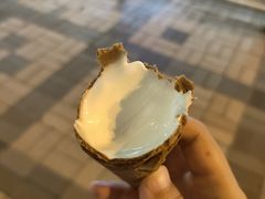 -富豪雪糕车流动点(尖沙咀店)