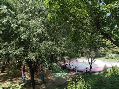 -西部长青自然儿童乐园