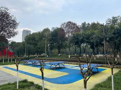 -重庆彩云湖湿地公园