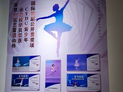 -中央芭蕾舞团·中芭艺蕾(酒仙桥明星校区)