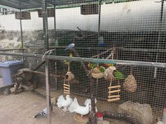 -蘇河湾·新鲁菜·泰山宴(泰山店)