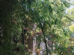 -陈熹公民族美食文化餐厅(中华广场店)