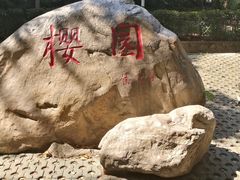 -武汉大学-樱园