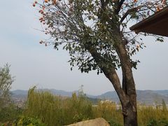 -红石寨旅游度假区
