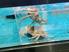-盒马鲜生(西城时代店)