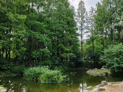 -苏州河梦清园环保主题公园