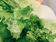 青爽生菜-新石器烤肉(无锡万象城店)