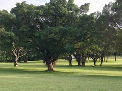 -东莞植物园