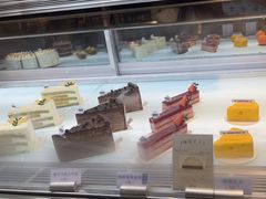 -TD66高山铁皮石斛养生茶饮