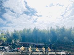 -宁波浙东大竹海景区