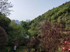 -桃花岭景区