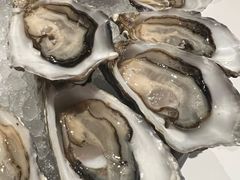 -斯普汇生蚝牛排馆(中骏世界城店)